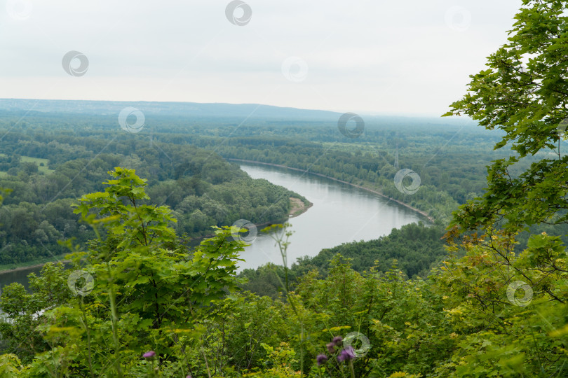 Скачать пейзаж с рекой и лесом фотосток Ozero