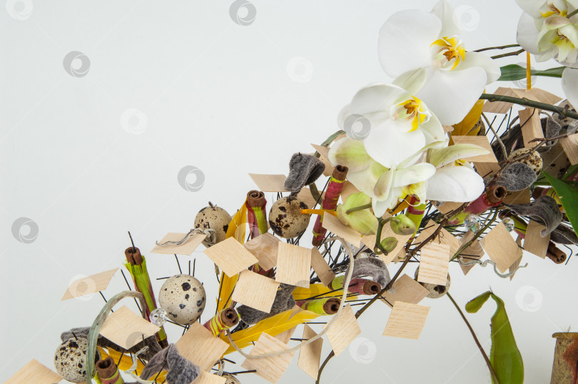 Скачать букет цветов на белом фоне фотосток Ozero