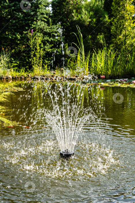 Скачать Красивый каскадный фонтан в садовом пруду на размытом фоне вечнозеленых растений. Выборочный фокус. Солнце отражается в зеленоватой воде. Атмосфера расслабления, спокойствия и счастья. фотосток Ozero