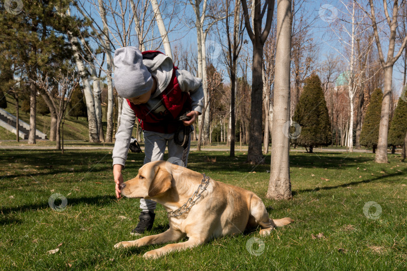 Скачать мальчик гуляет с домашним животным фотосток Ozero