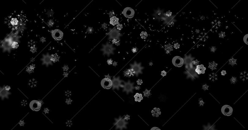 кадры с белыми снежинками на черном фоне в формате 4k 3D. зима, снежинка,  снежинки. шаблон для редактирования. - Ozero - российский фотосток