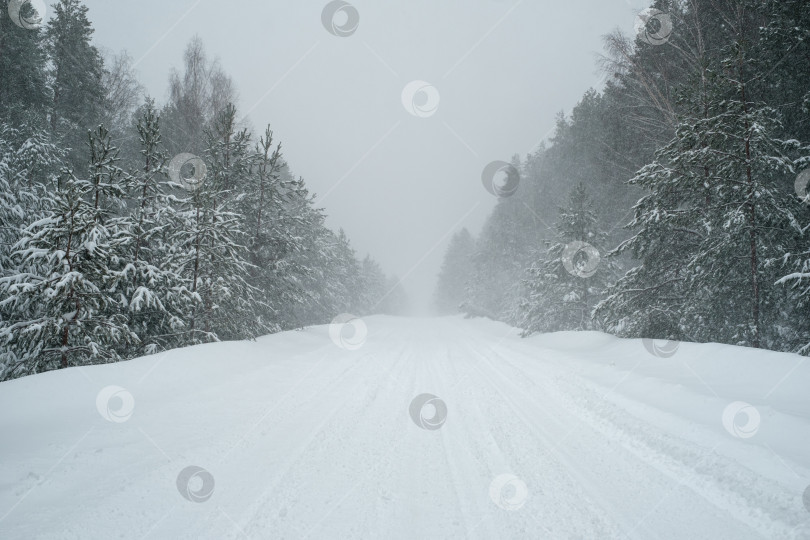 Скачать дорога в зимнем лесу во время снегопада фотосток Ozero