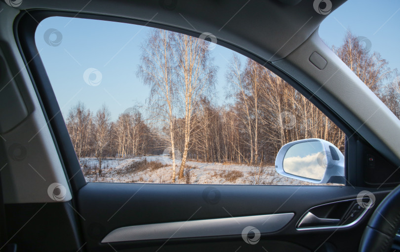 Скачать Вид из машины на зимний березовый лес фотосток Ozero