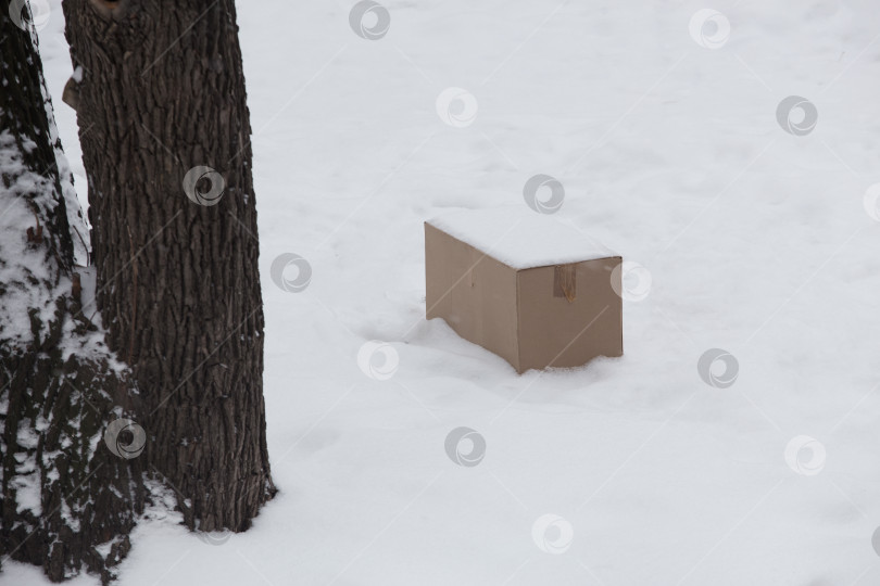 Скачать Картонная коробка зимой на снегу фотосток Ozero