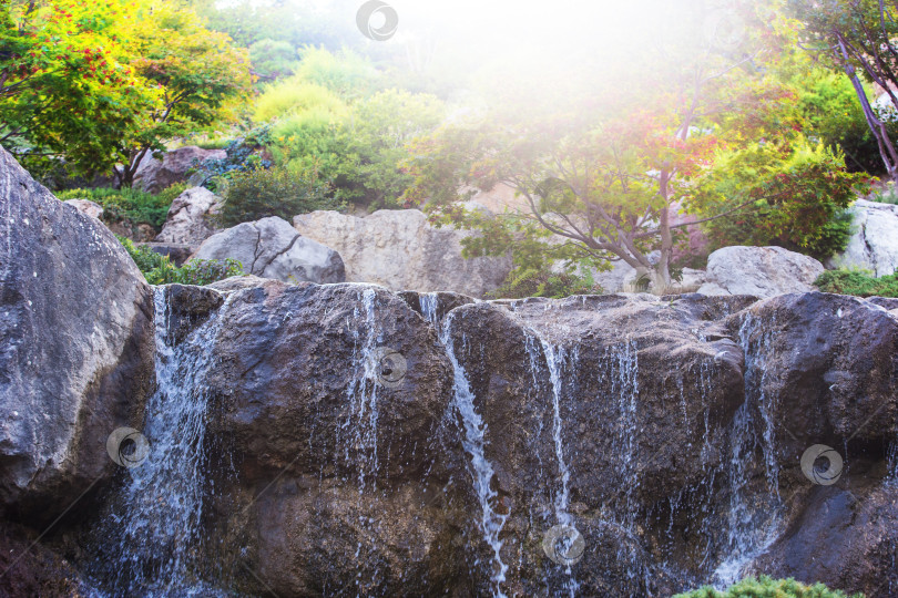 Скачать Красивый водопад с тропическими деревьями и растениями фотосток Ozero