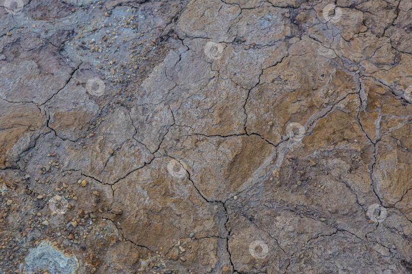 Скачать Трещины на сухой коричневой поверхности земли. фотосток Ozero