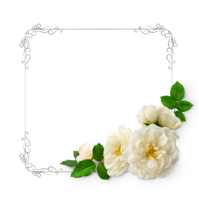 [object Object] undefined
