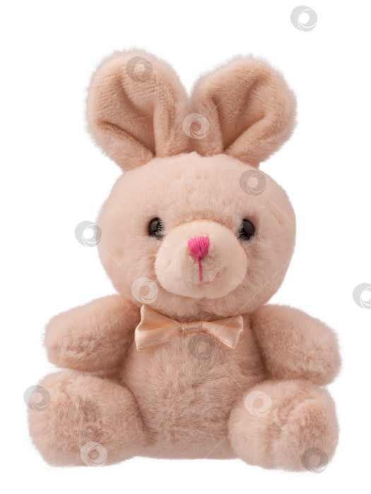 Скачать мягкая игрушка заяц, пушистый кролик с бантом, изолированный фотосток Ozero