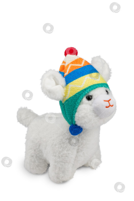 Скачать мягкая игрушка из белого пушистого материала, лама в цветной шапочке с помпонами, выделенная на белом фоне фотосток Ozero