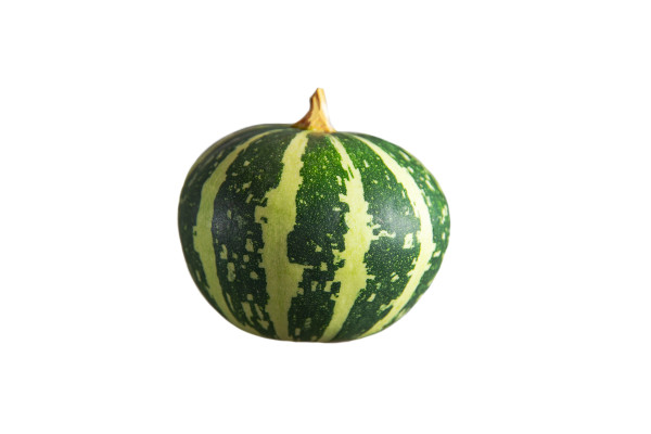 [object Object] undefined