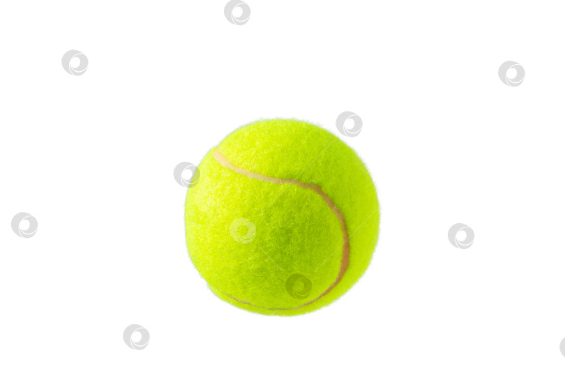 Скачать зеленый теннисный мяч, выделенный на белом фоне фотосток Ozero