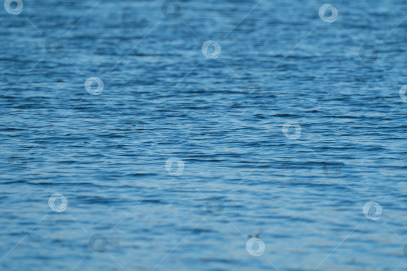 Скачать водная гладь реки или озера с солнечными бликами на закате фотосток Ozero