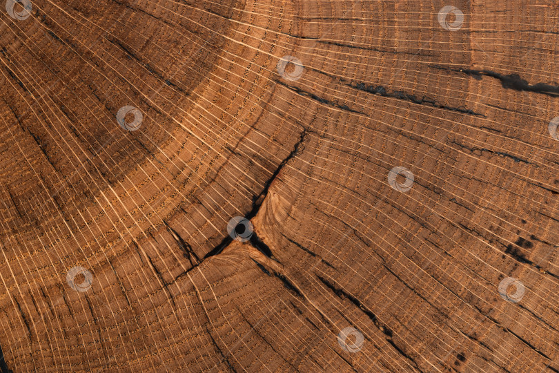Скачать старая тонированная древесина дуба с царапинами, естественный фон, текстура фотосток Ozero