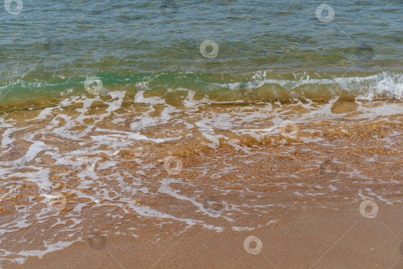 Скачать Белые волны накатывают на песчаный берег черноморской Анапы. Белые брызги и пена на переднем плане. Изумрудно-голубая прозрачная морская вода омывает желтоватый песок. Море на южном курорте России. фотосток Ozero