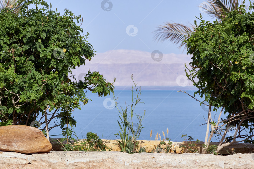 Скачать Май 2011 года. Мертвое море. Иордания. Отель Movenpick Resort and SPA Dead Sea 5*. Вид со смотровой площадки на Мертвое море и противоположный берег. Место отдыха туристов со всего мира. фотосток Ozero