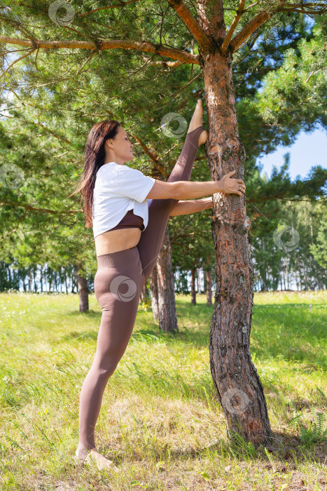 Скачать Женщина, ведущая здоровый образ жизни и практикующая йогу, выполняет упражнение Хануманасана, садится на продольный шпагат, тренируется в повседневной одежде в сосновом лесу, опирается одной ногой на дерево фотосток Ozero