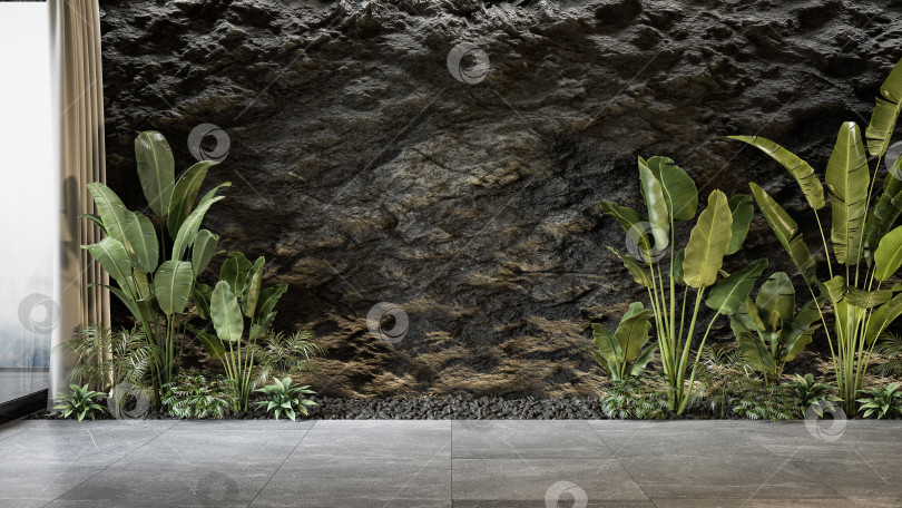 Скачать Стена из черного шифера с растениями. фотосток Ozero