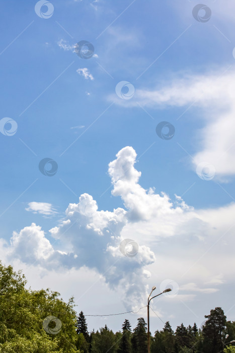 Скачать Пейзаж голубого неба с облаками и верхушками деревьев фотосток Ozero