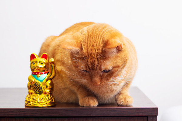 [object Object] undefined