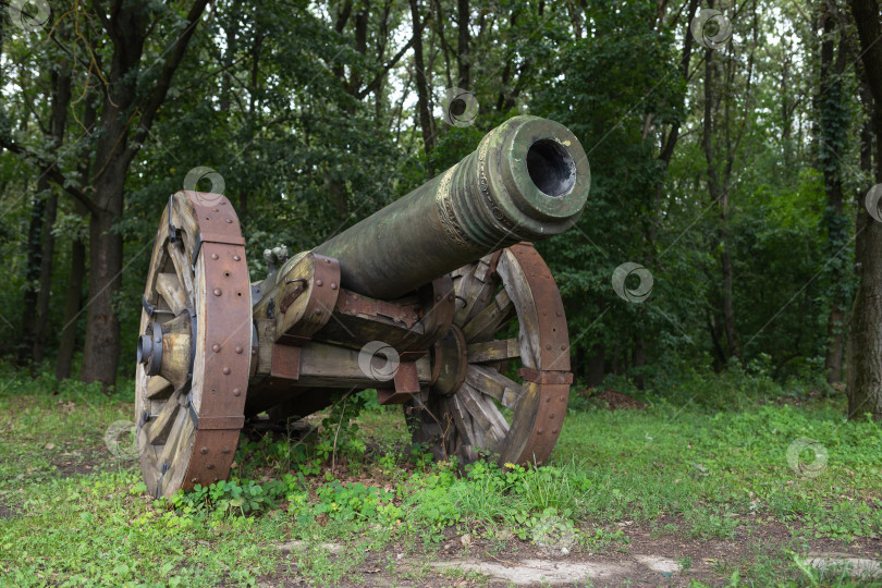 Скачать Старинная декоративная пушка с круглыми деревянными колесами в парке фотосток Ozero