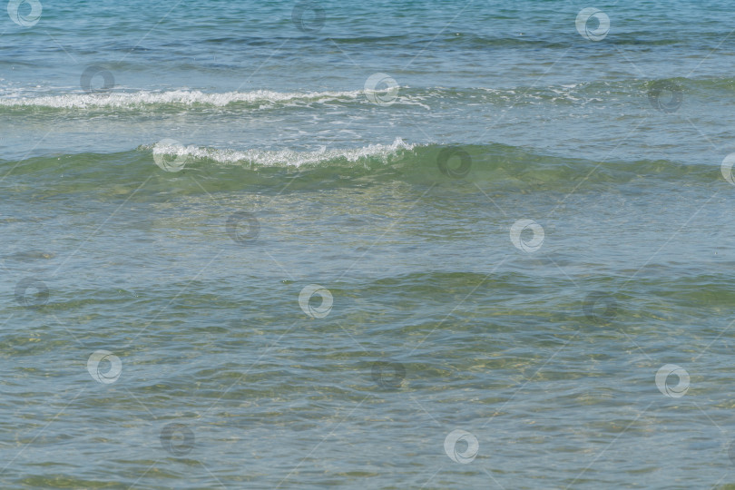 Скачать Белые волны накатывают на песчаный берег черноморской Анапы. Белые брызги и пена на переднем плане. Изумрудно-голубая прозрачная морская вода омывает желтоватый песок. Море на южном курорте России. фотосток Ozero