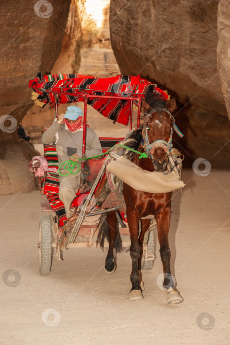 Скачать Каньон Сик или Эль Сик. Бедуин на повозке, запряженной одной лошадью, мчится по узкой тропинке ущелья к скалистому городу Петра. Тропинка между крутыми утесами каньона. фотосток Ozero