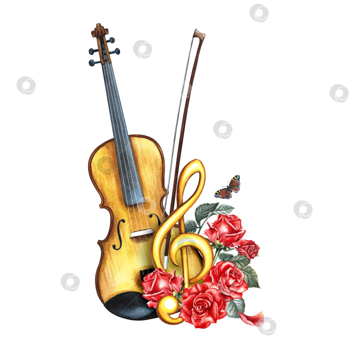 Скачать Скрипка, украшенная красными розами и золотым скрипичным ключом. Акварельная иллюстрация нарисована от руки. Для плакатов, флаеров и пригласительных билетов. Для баннеров и открыток, логотипов, значков, наклеек. фотосток Ozero