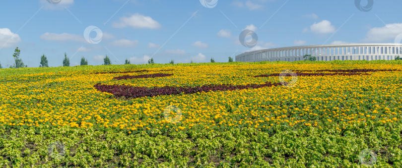 Скачать Клумба с красивыми желто-оранжевыми цветами календулы (Tagetes erecta, мексиканская или африканская календула) в общественном благоустроенном Краснодаре или парке Галицкого солнечным летом 2021 года. фотосток Ozero