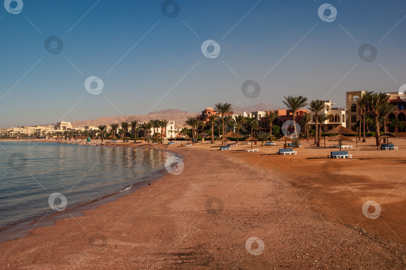 Скачать Отель Movenpick Resort and SPA Tala Bay Aqaba 5 звезд на Красном море в Иордании. Береговая линия с песчаными пляжами. Пляжные зонтики и шезлонги между пальмами.Акаба, Иордания - 06 декабря 2009 г. фотосток Ozero