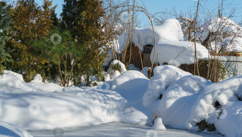 Скачать Зимняя сказка в саду. Спокойная картина заснеженного сада. Вечнозеленые растения, полностью покрытые белым пушистым снегом и склоняющиеся к пруду. Выборочный фокус. Концепция природы для волшебной темы Нового года и Рождества. фотосток Ozero