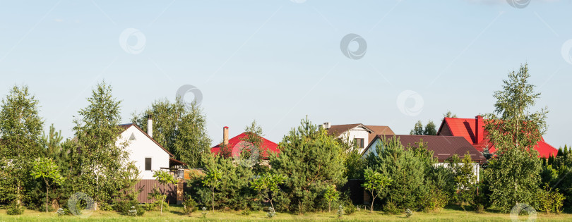 Скачать Панорамное изображение частных домов с большим количеством деревьев фотосток Ozero
