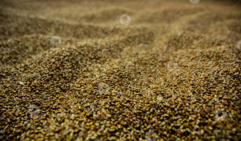 Скачать Фоновое изображение, мелкие камешки, песок. фотосток Ozero