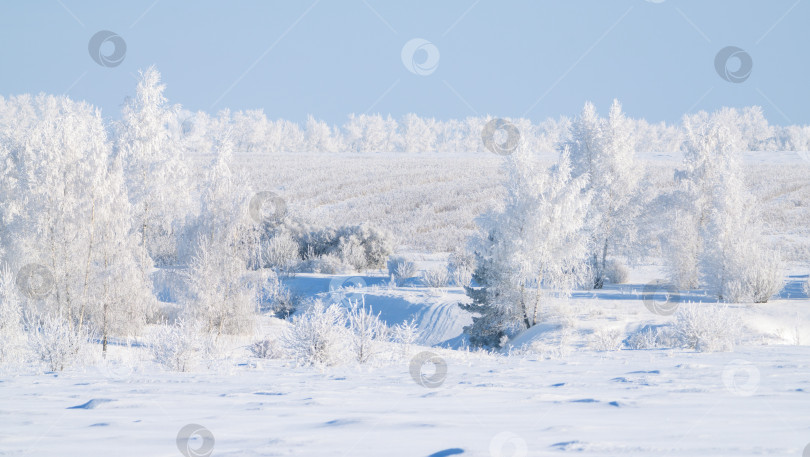 Скачать Замерзшая природа, деревья, покрытые толстым слоем инея в морозный зимний день фотосток Ozero