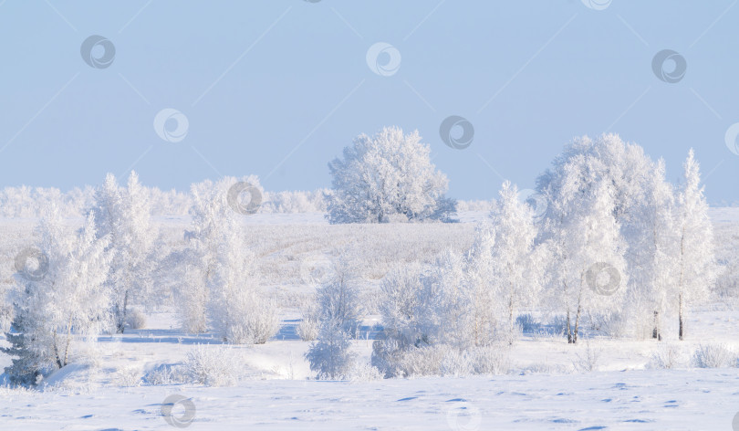 Скачать Замерзшая природа, деревья, покрытые толстым слоем инея в морозный зимний день фотосток Ozero