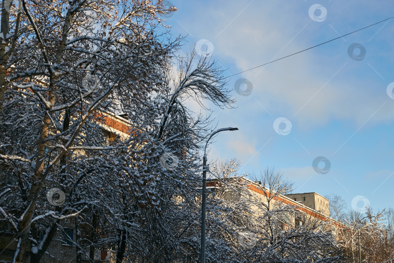 Скачать заснеженные деревья, голубое небо и городские дома фотосток Ozero