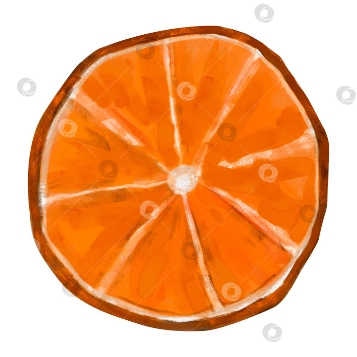 Скачать Долька апельсина, раскрашенная вручную акварелью. Цитрусовые для декора, принтов, дизайна продукции. фотосток Ozero
