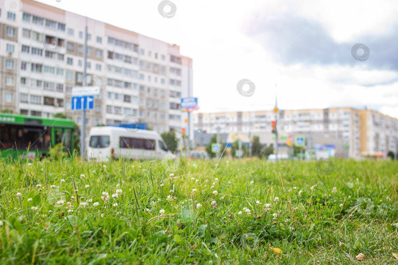 Скачать Зеленая трава у дороги в городе фотосток Ozero