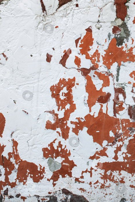 Скачать Облупившаяся краска на бетонной стене, текстура фотосток Ozero