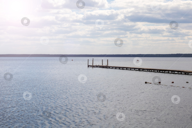 Скачать Чайки на поверхности воды фотосток Ozero