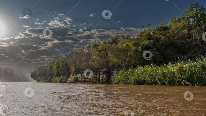 Скачать Спокойная красно-коричневая река Мадагаскара фотосток Ozero