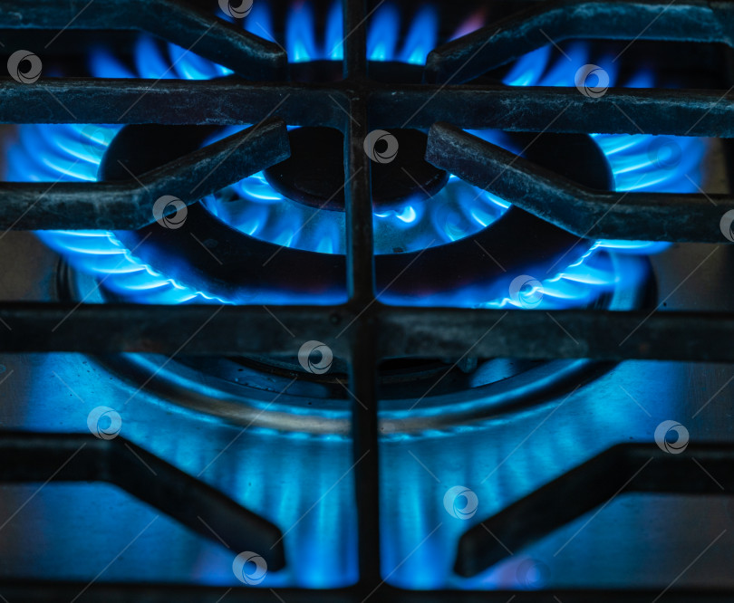 Скачать Голубое пламя от горящего газа на размытом темном фоне газовой плиты. Газ от российской компании "Газпром" за рубли. Горящий газ из горелки на плите для приготовления пищи. Выборочный фокус фотосток Ozero