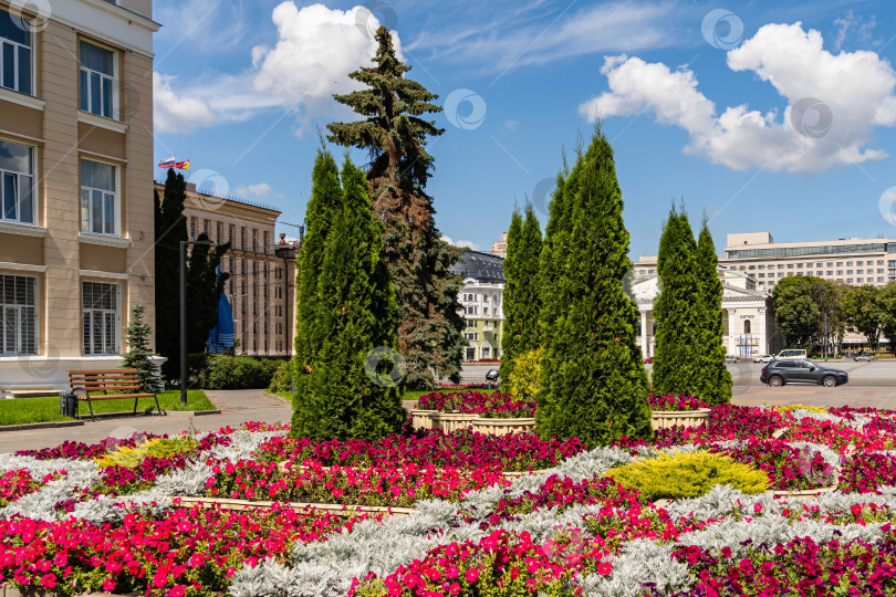 Скачать Красивая клумба с фиолетовыми и красными цветами в центре города. В центре клумбы растут вечнозеленые растения. На заднем плане - Театр оперы и балета. фотосток Ozero