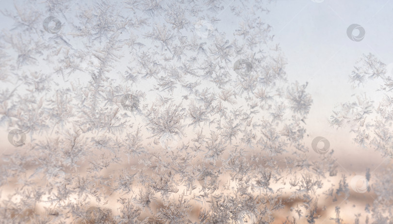 Скачать Нежное морозное великолепие фотосток Ozero