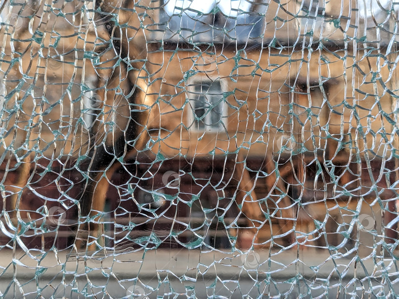 Скачать Городской вид сквозь разбитое стекло автобуса фотосток Ozero