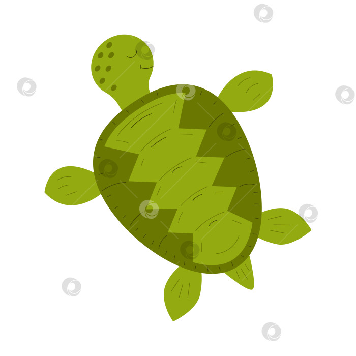 Скачать Симпатичная морская черепаха фотосток Ozero