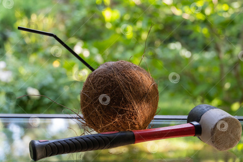 Скачать Большой коричневый кокос с трубкой и молоток с красной ручкой лежат на стекле. Размытый фон зеленой травы. Выборочный фокус. фотосток Ozero