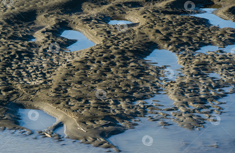 Скачать Оригинальная текстура влажного серого песка горной реки Мзымта в Адлере. Отличный фон для любого природного дизайна. фотосток Ozero