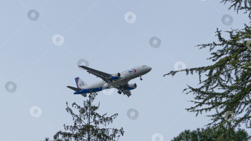 Скачать Airbus A320 в воздухе над дендрарием Парка южных культур в Сириусе (Адлер). Уральские авиалинии. Сочи, Россия - 15 марта 2021 г. фотосток Ozero