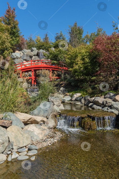 Скачать Краснодарский "Японский сад". Большой водопад Отаки. Перед водопадом находится традиционный японский красный мост, ведущий к пагоде Тахото. Вода течет по каменистому руслу искусственной реки в Зеркальное озеро. фотосток Ozero