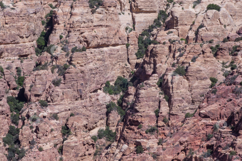 Скачать Дана - биосферный заповедник в Иордании. Заповедник является крупнейшим и единственным в стране, который включает в себя четыре биогеографические зоны страны: Средиземноморскую, ирано-Туранскую, Сахаро-аравийскую и Суданскую. фотосток Ozero
